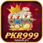 PKR 999