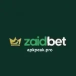 Zaidbet Game Logo/feature image