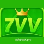 7VV Bet Game online betting platform with casino slots and card games